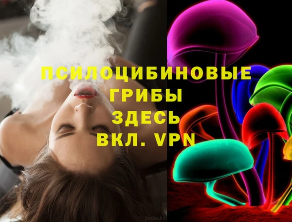 спиды Туринск