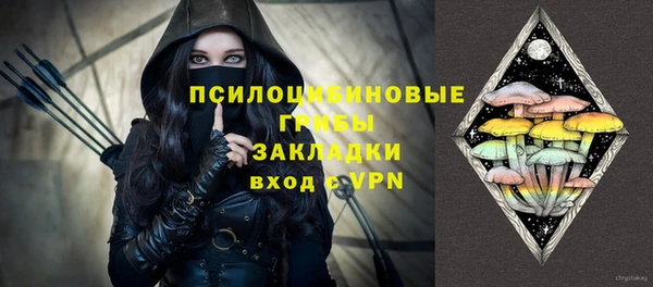 спиды Туринск